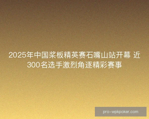 2025年中国桨板精英赛石嘴山站开幕 近300名选手激烈角逐精彩赛事
